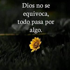 Meet your Posher, Gabby